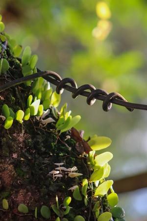 Premium Photographic Print, , small