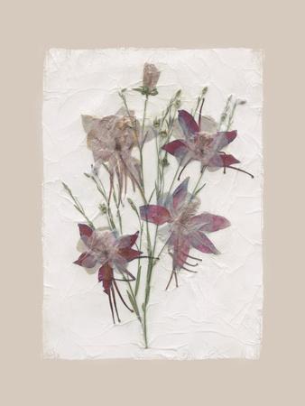 Premium Giclee Print, , small