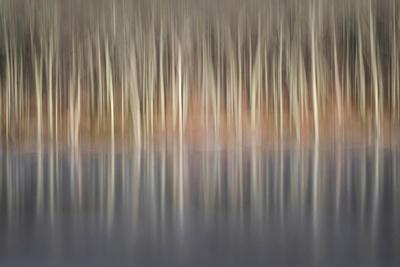 Premium Photographic Print, , small