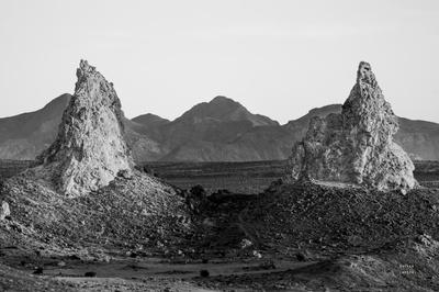 Premium Photographic Print, , small