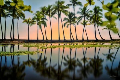 Premium Photographic Print, , small