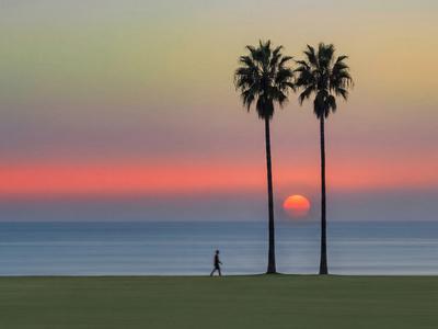 Premium Photographic Print, , small