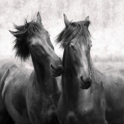 Premium Photographic Print, , small