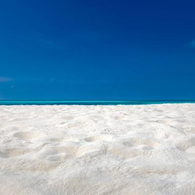 Premium Photographic Print, , small