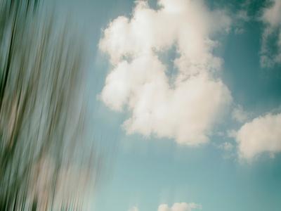 Premium Photographic Print, , small