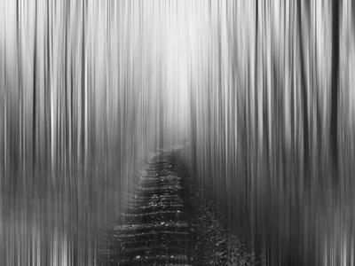 Premium Photographic Print, , small