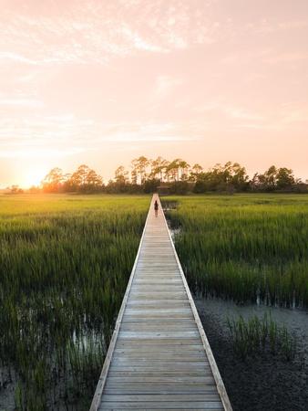 Premium Photographic Print, , small