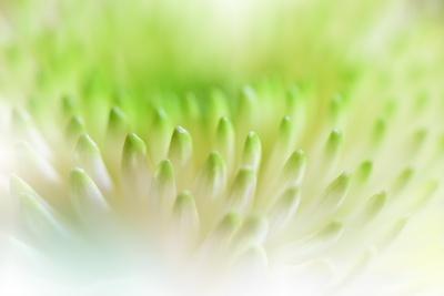Premium Photographic Print, , small