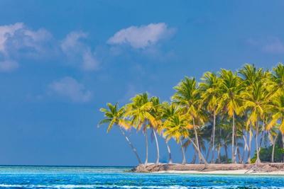 Premium Photographic Print, , small