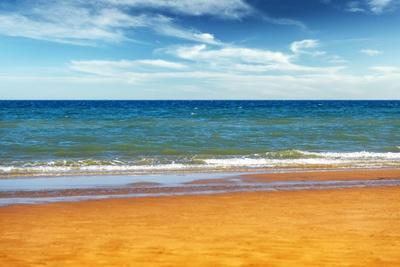 Premium Photographic Print, , small