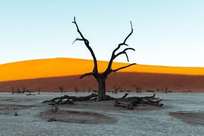 Premium Photographic Print, , small