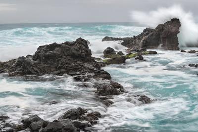 Premium Photographic Print, , small