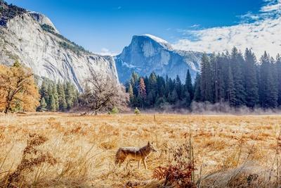 Premium Photographic Print, , small