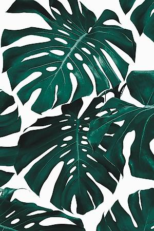 Premium Photographic Print, , small