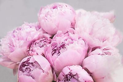 Premium Photographic Print, , small
