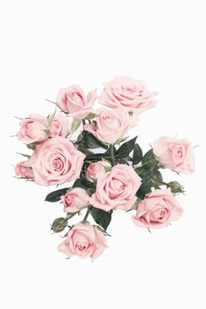 Premium Photographic Print, , small