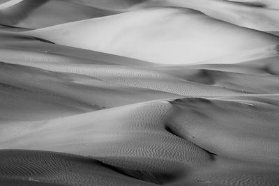 Premium Photographic Print, , small
