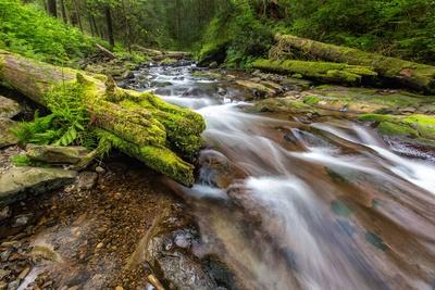 Premium Photographic Print, , small
