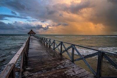 Premium Photographic Print, , small