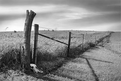 Premium Photographic Print, , small