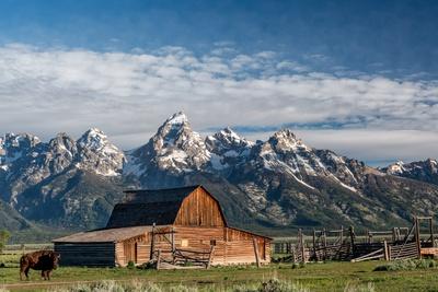 Premium Photographic Print, , small