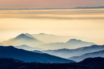 Premium Photographic Print, , small