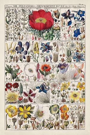 Premium Giclee Print, , small