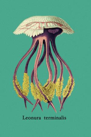 Premium Giclee Print, , small