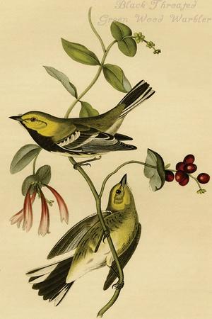 Premium Giclee Print, , small