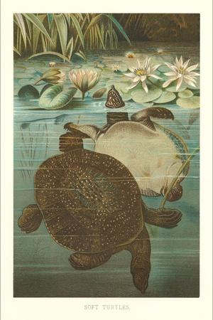 Premium Giclee Print, , small