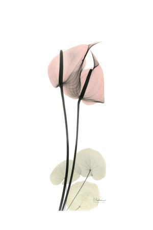 Premium Giclee Print, , small