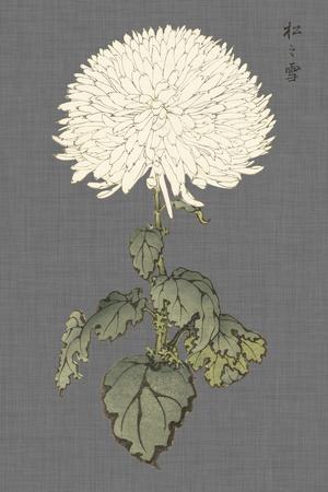Premium Giclee Print, , small