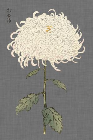 Premium Giclee Print, , small