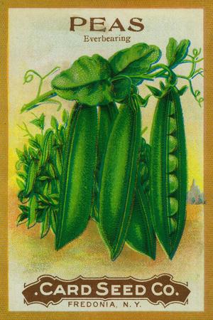 Premium Giclee Print, , small