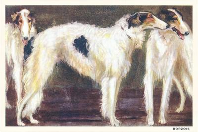 Premium Giclee Print, , small