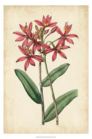 Premium Giclee Print, , small