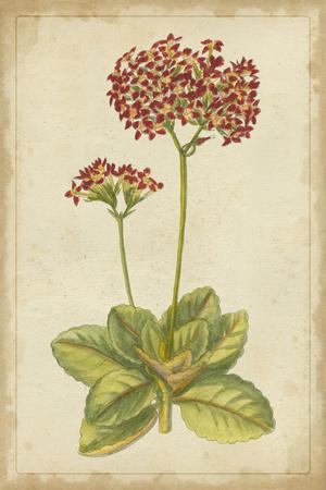 Premium Giclee Print, , small