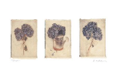 Premium Giclee Print, , small