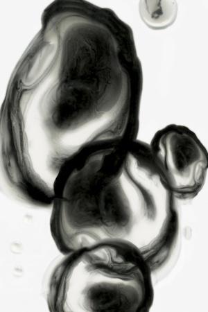 Premium Giclee Print, , small