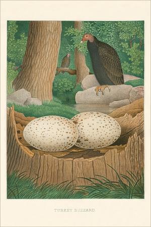 Premium Giclee Print, , small