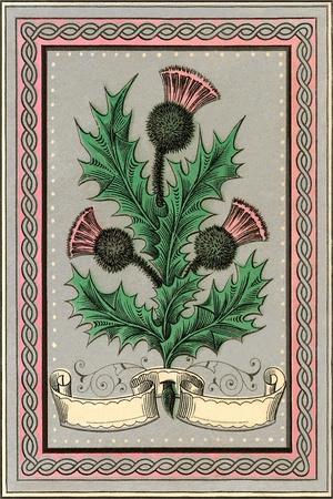 Premium Giclee Print, , small