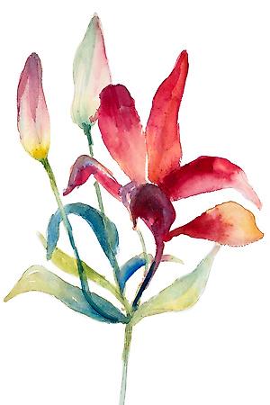 Premium Giclee Print, , small