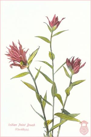 Premium Giclee Print, , small