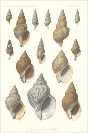 Premium Giclee Print, , small