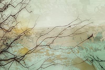 Premium Giclee Print, , small