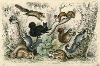 Premium Giclee Print, , small