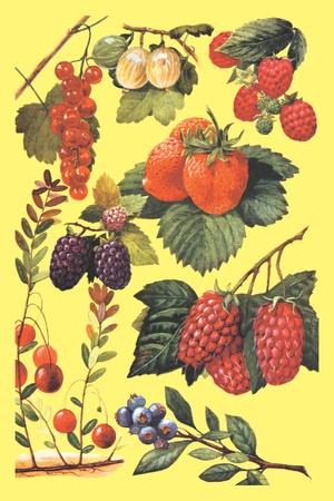 Premium Giclee Print, , small
