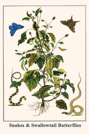 Premium Giclee Print, , small