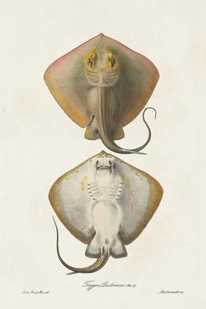 Premium Giclee Print, , small