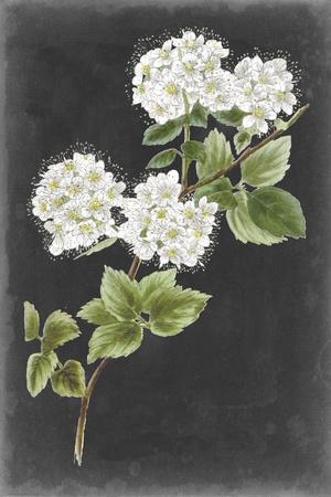 Premium Giclee Print, , small